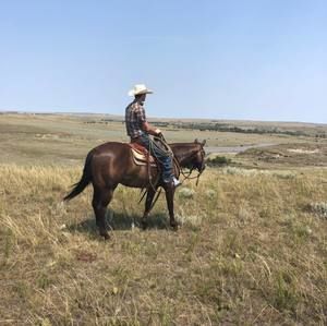 Meet your Posher, Riley